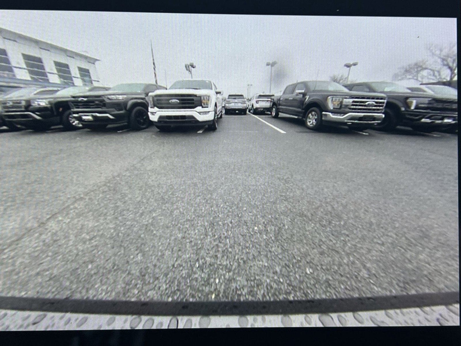 Certified 2024 Ford Expedition Limited image 19