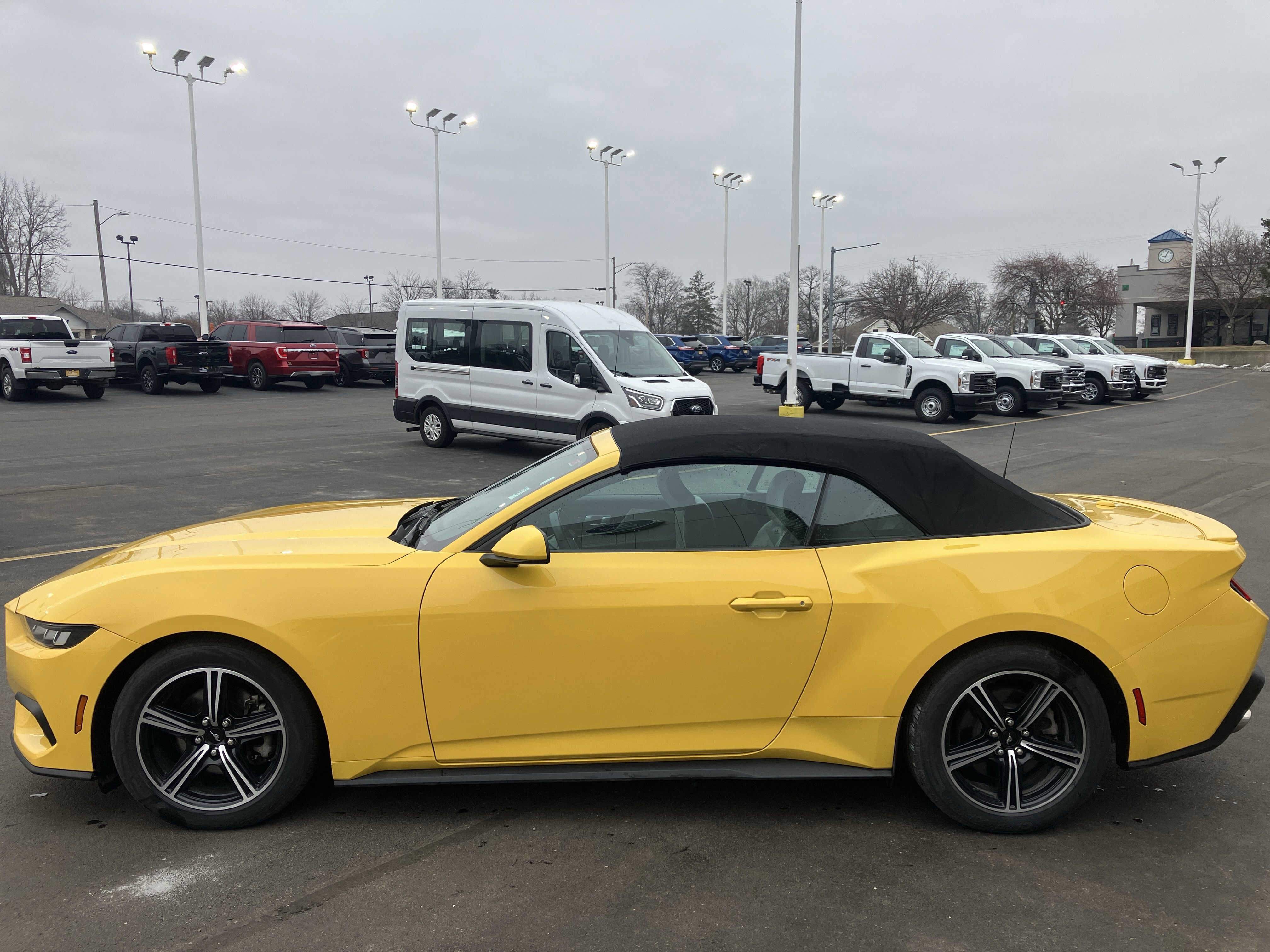 Certified 2024 Ford Mustang Premium image 2