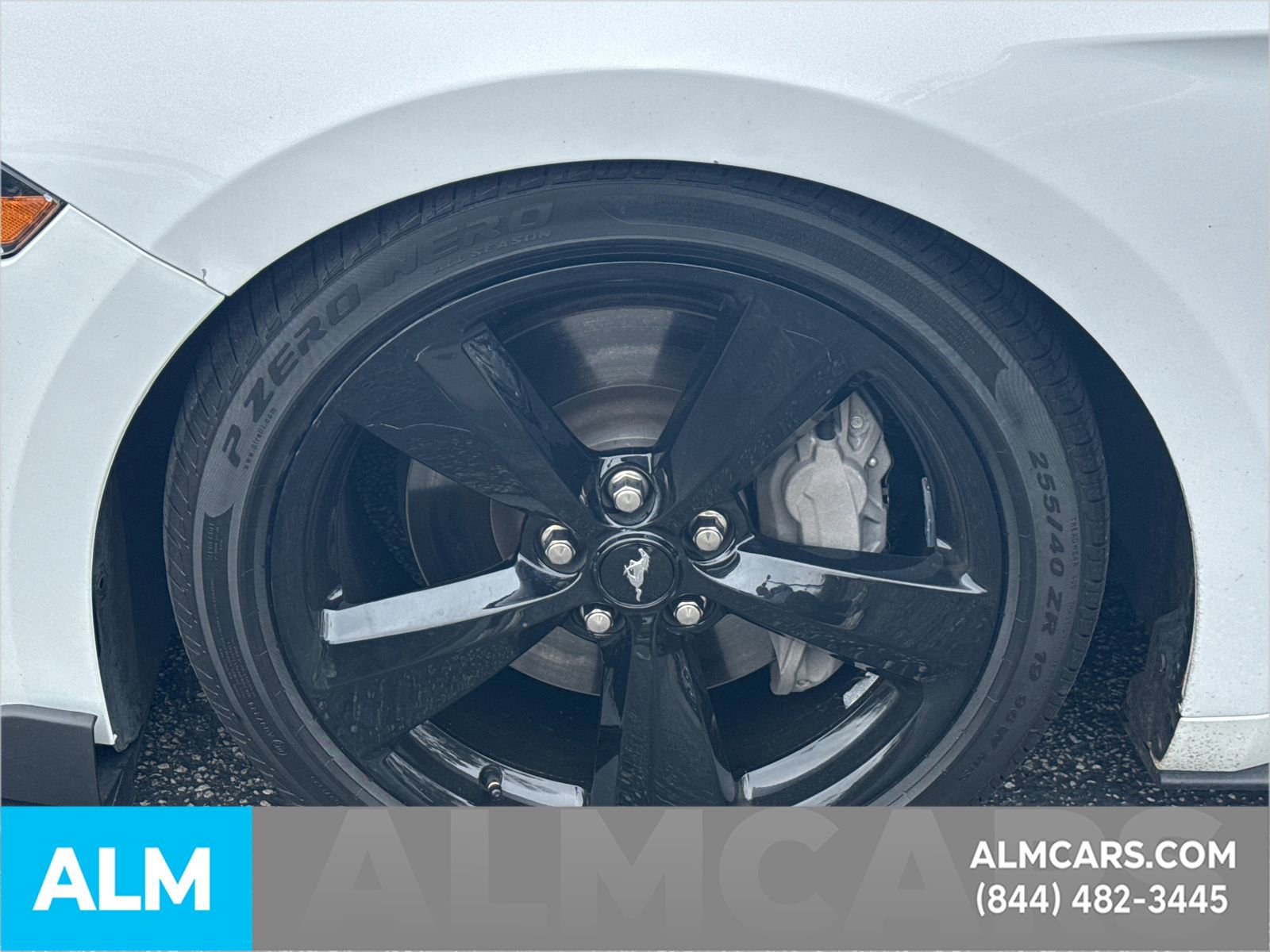 Certified 2023 Ford Mustang GT Premium w/ Mustang Nite Pony Package image 14