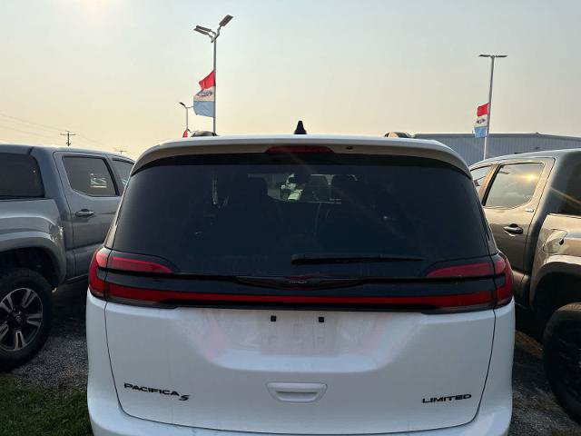 Used 2025 Chrysler Pacifica Limited FWD image 6
