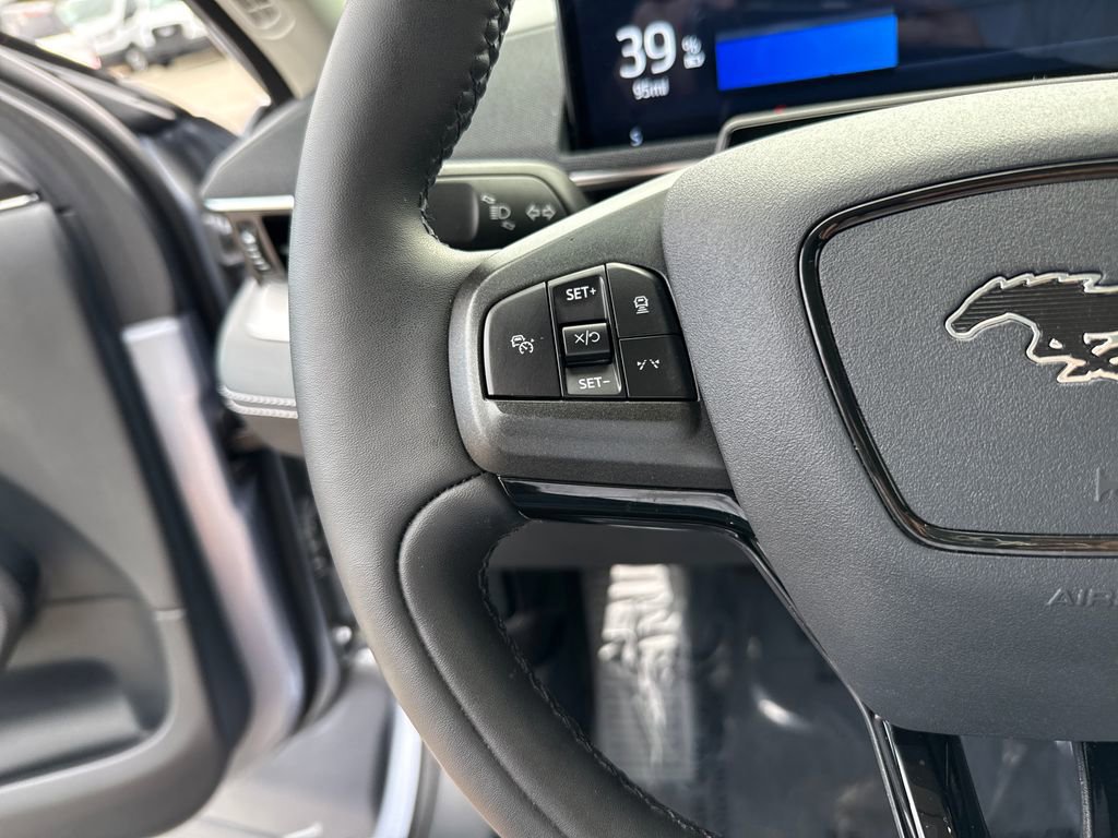 Certified 2022 Ford Mustang Mach-E California Route 1 image 16