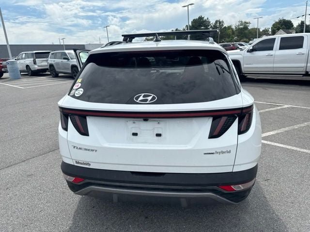 Used 2024 Hyundai Tucson Limited AWD/4WD image 14