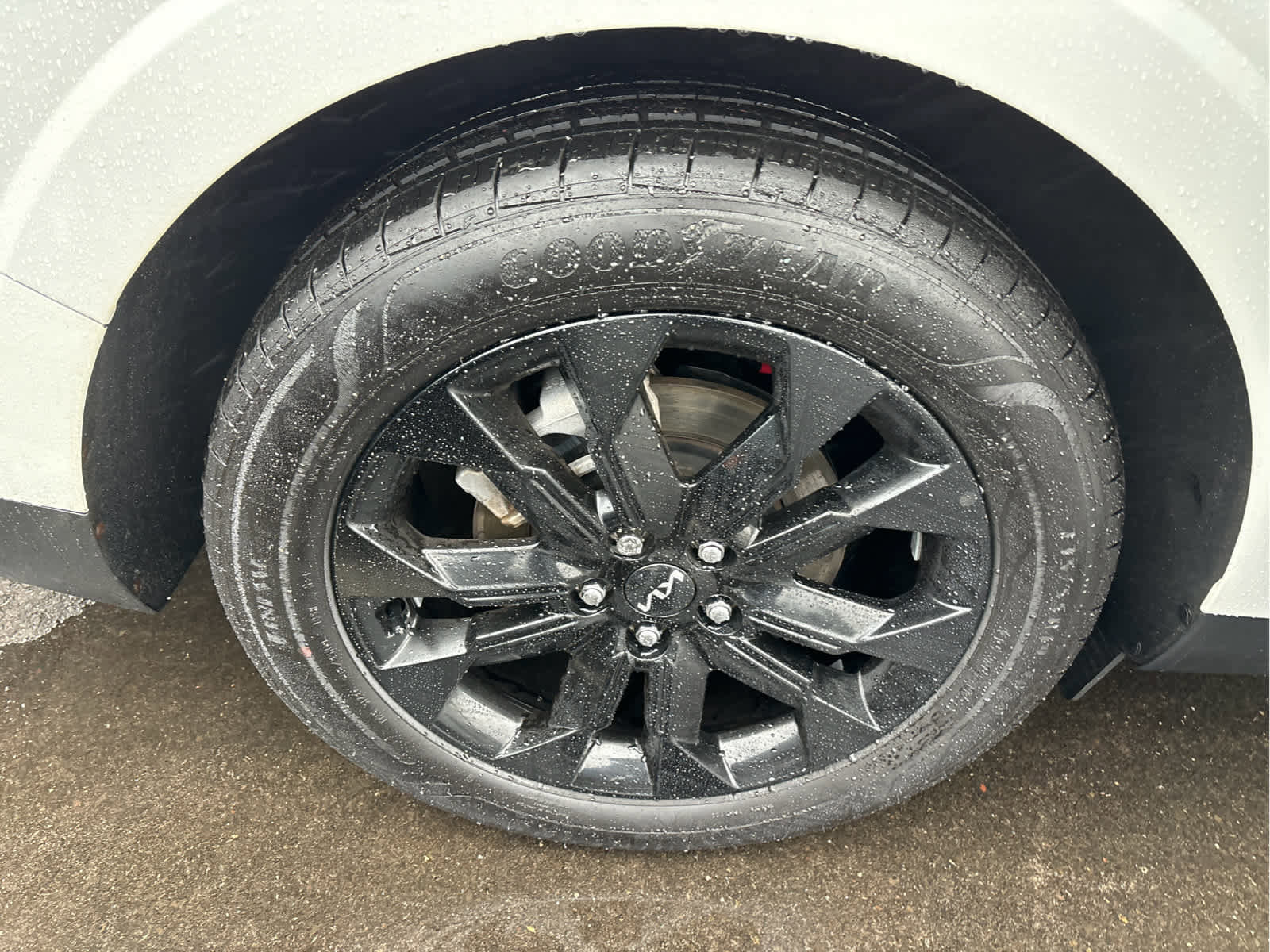 Used 2024 Kia Carnival SX image 33