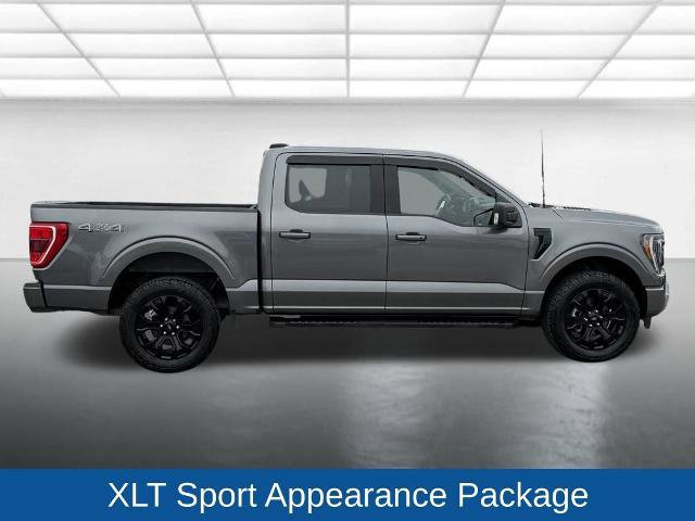 Certified 2023 Ford F150 XLT w/ Equipment Group 302A High AWD/4WD image 13