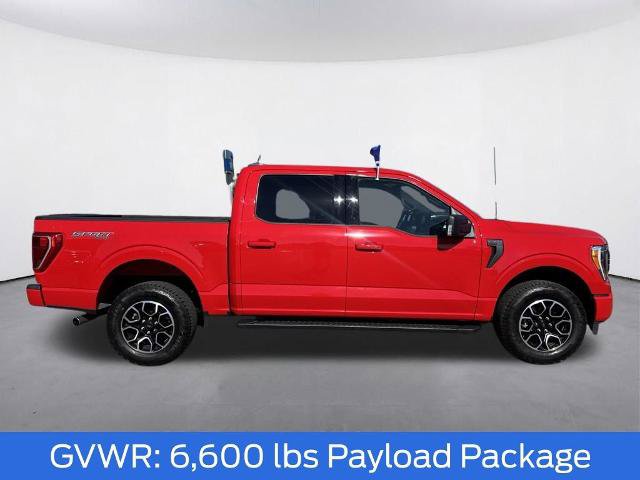 Certified 2023 Ford F150 XLT w/ Equipment Group 302A High AWD/4WD image 10