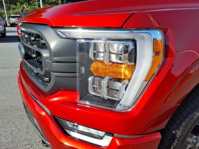 Certified 2023 Ford F150 XLT w/ Equipment Group 302A High AWD/4WD image 4