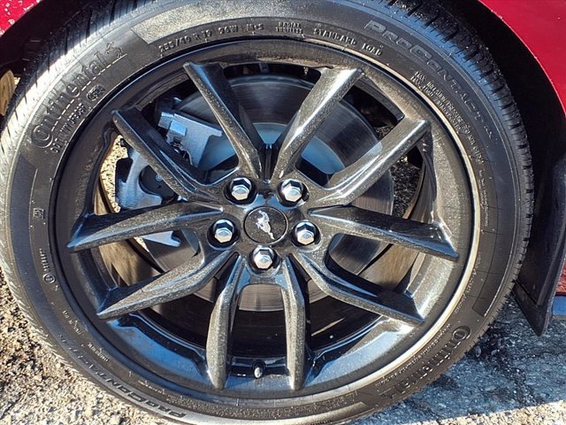 Certified 2025 Ford Mustang GT Premium w/ Mustang Nite Pony Package image 29