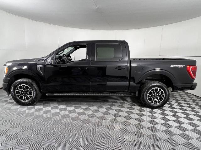 Certified 2023 Ford F150 XLT w/ Equipment Group 302A High AWD/4WD image 6
