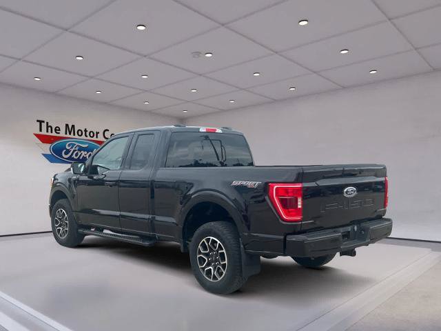 Certified 2023 Ford F150 XLT w/ Equipment Group 302A High AWD/4WD image 7