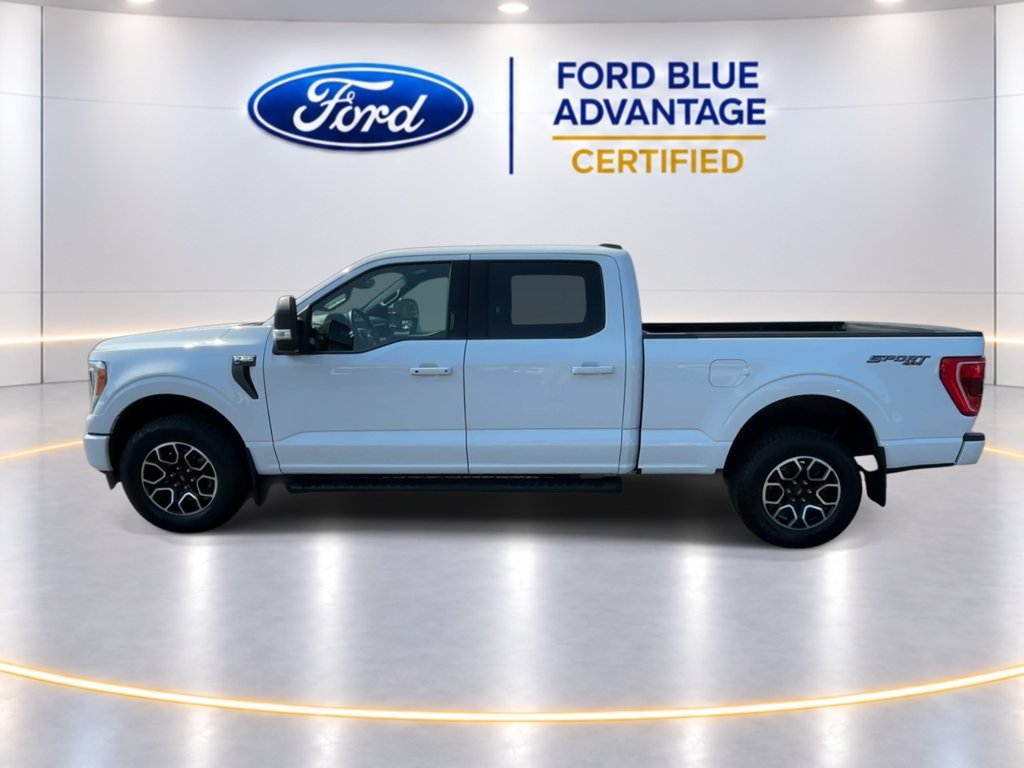 Certified 2023 Ford F150 XLT w/ Equipment Group 302A High AWD/4WD image 5