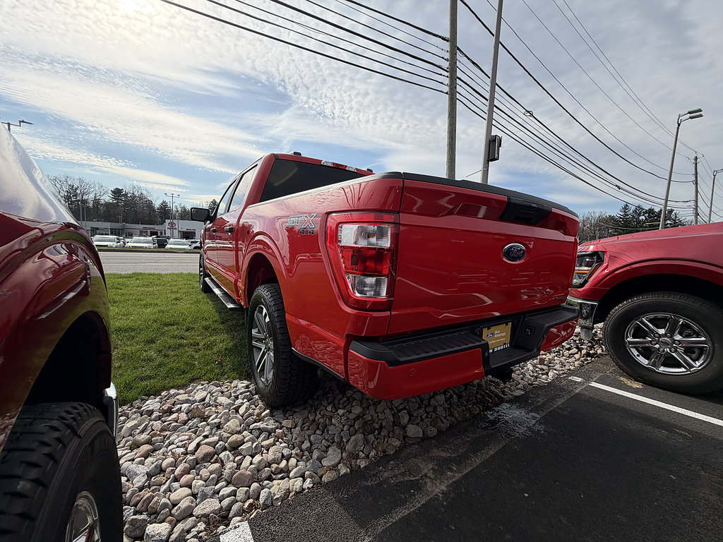 Certified 2022 Ford F150 XL w/ STX Appearance Package AWD/4WD image 4