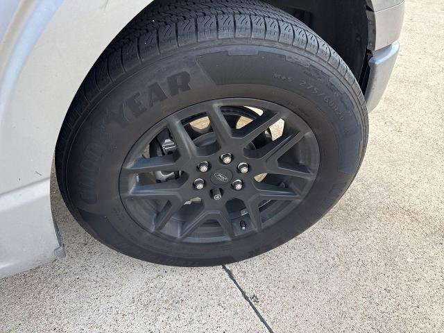 Certified 2024 Ford F150 STX w/ STX Black Appearance Package image 15