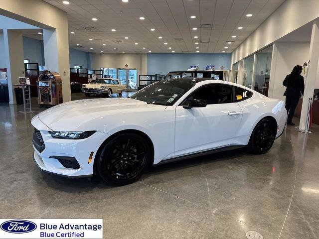 Certified 2025 Ford Mustang Premium w/ Mustang Nite Pony Package image 5