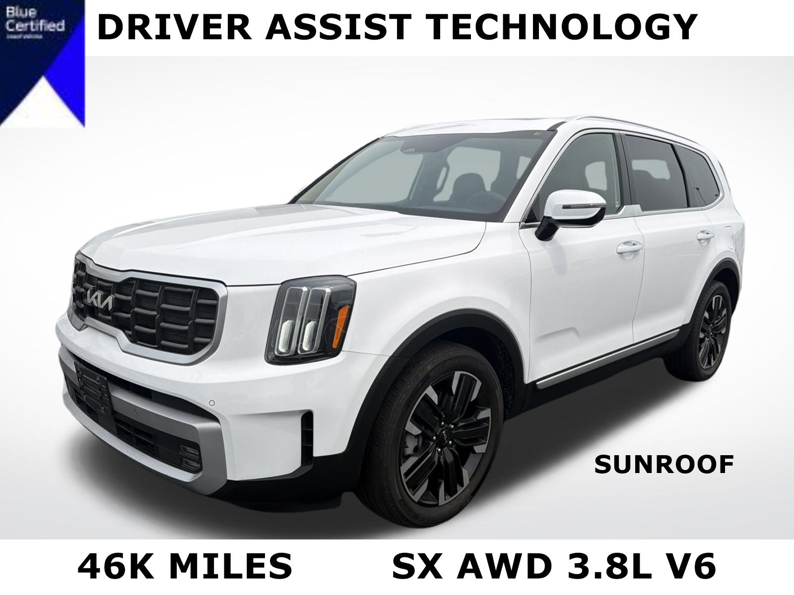 Used 2023 Kia Telluride SX