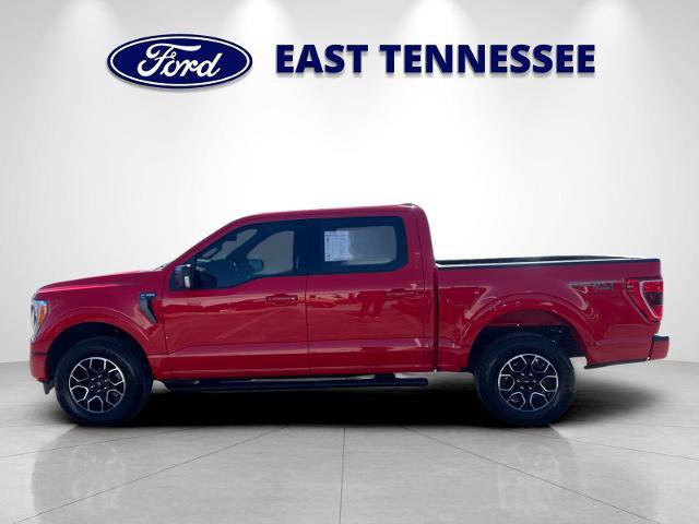 Certified 2023 Ford F150 XLT w/ Equipment Group 302A High image 2