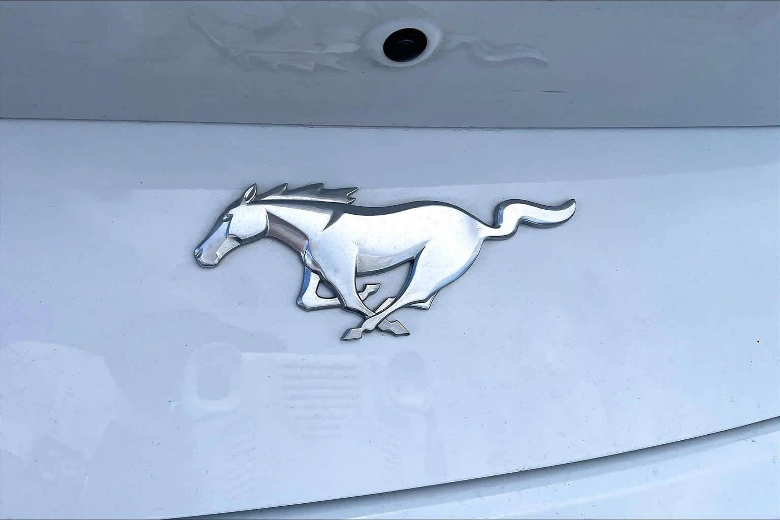 Certified 2025 Ford Mustang Coupe RWD image 7