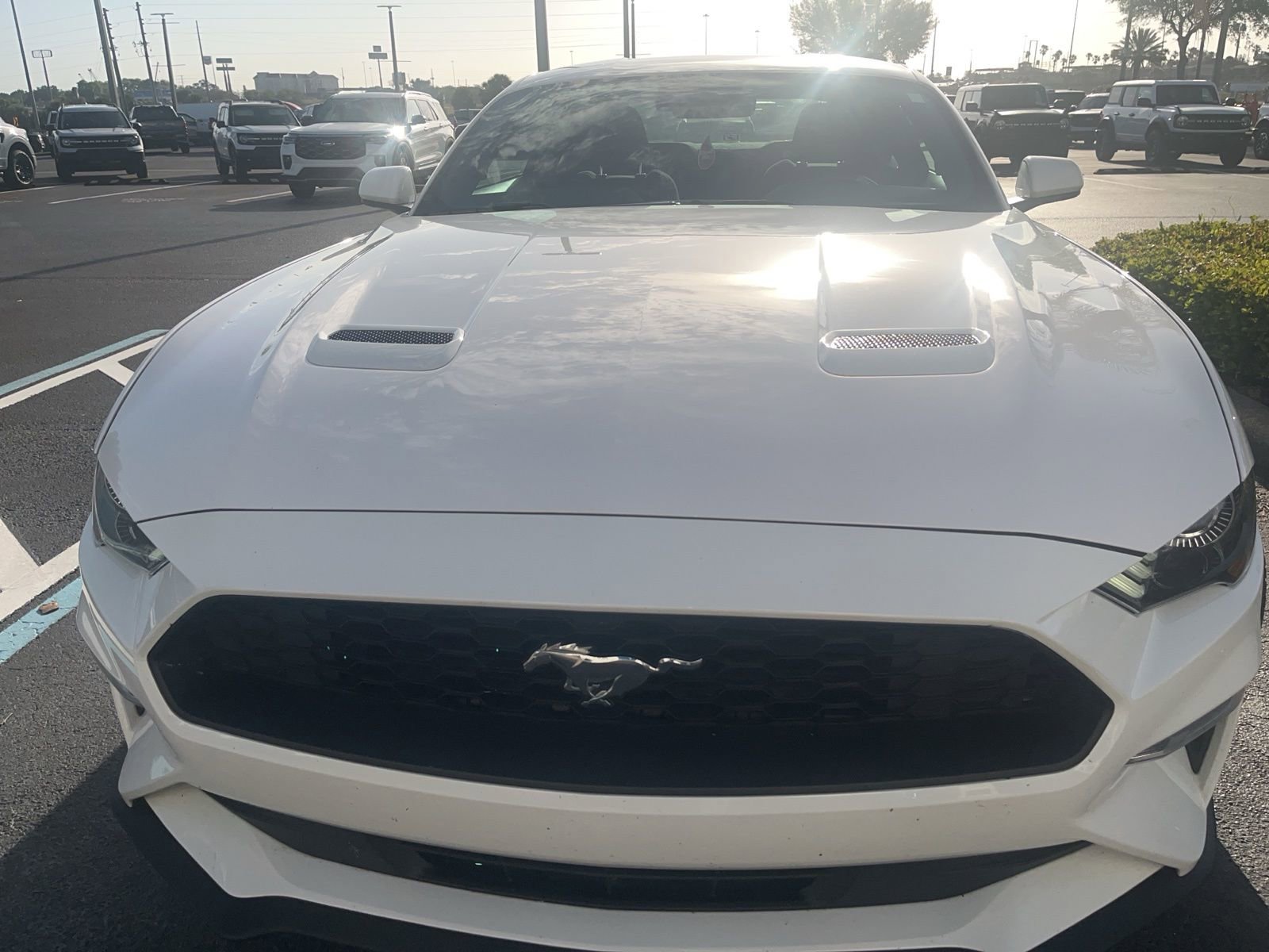 Certified 2021 Ford Mustang Coupe w/ Equipment Group 101A image 7