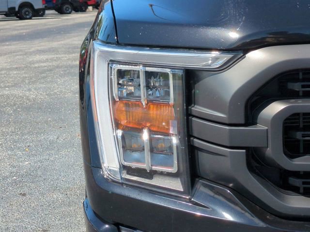 Certified 2023 Ford F150 XLT w/ Equipment Group 302A High image 10