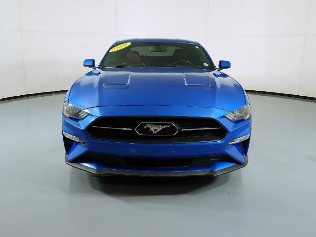 Certified 2019 Ford Mustang Premium w/ Pony Package RWD image 3