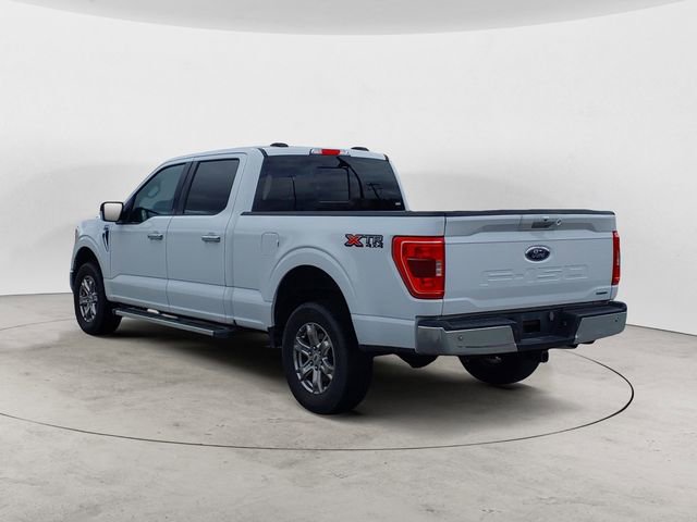 Certified 2023 Ford F150 XLT w/ Equipment Group 302A High AWD/4WD image 3