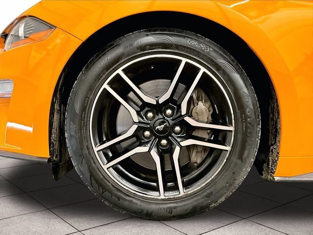 Certified 2019 Ford Mustang GT Premium w/ Equipment Group 401A RWD image 8