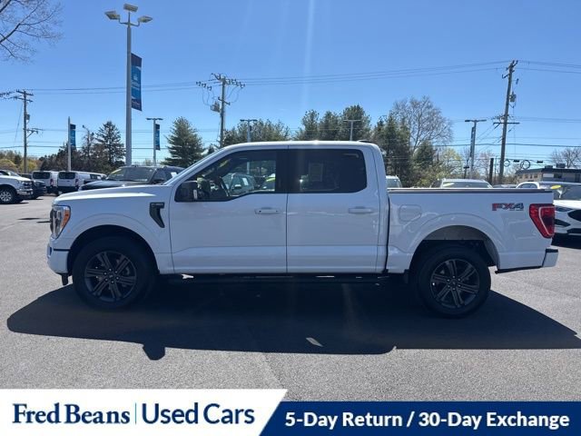 Certified 2023 Ford F150 XLT w/ Equipment Group 302A High image 2