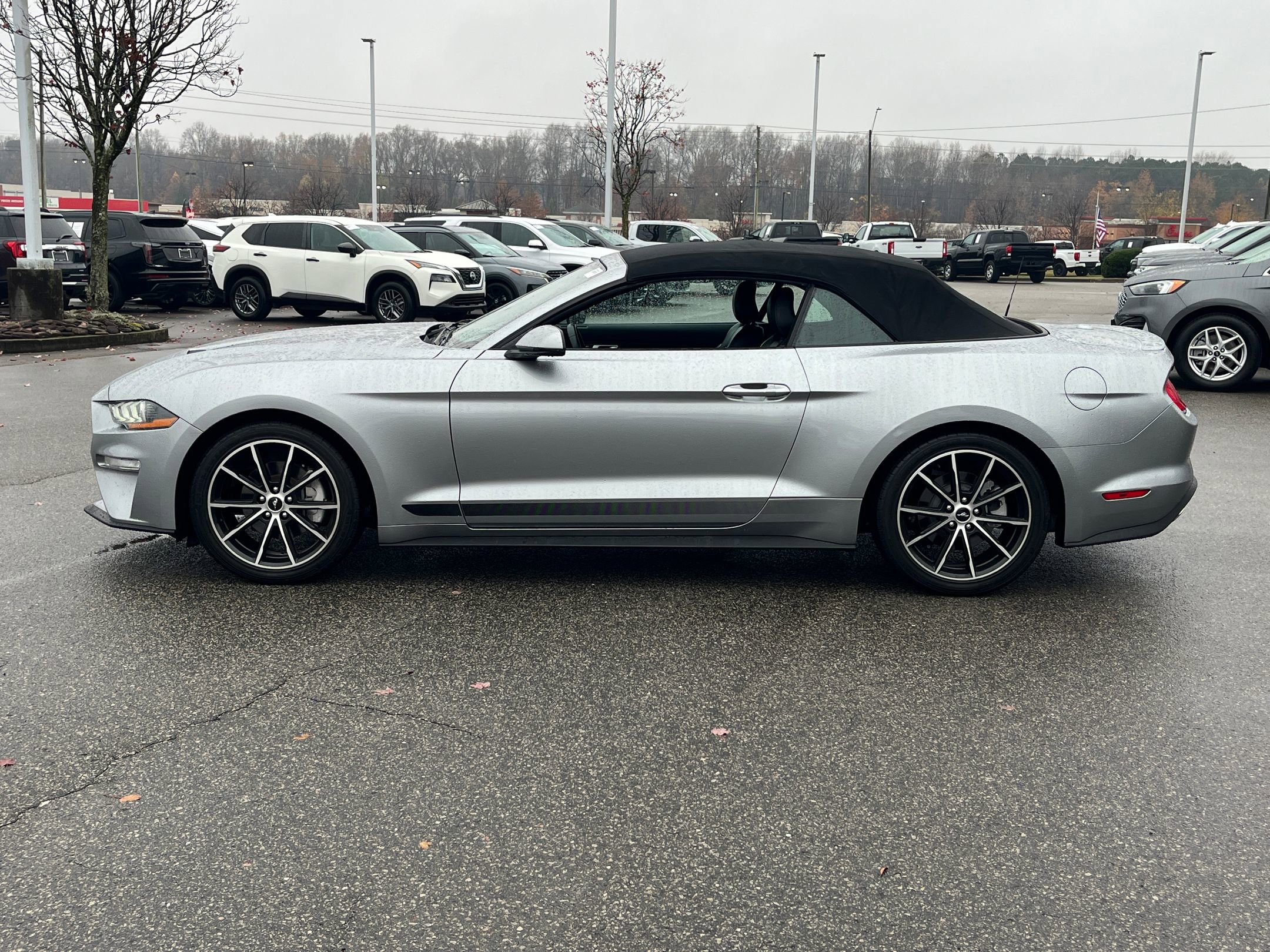 Certified 2021 Ford Mustang Premium w/ Equipment Group 201A image 7