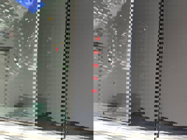 Certified 2020 Ford Edge SEL w/ Convenience Package image 8