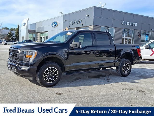 Certified 2023 Ford F150 XLT w/ Equipment Group 302A High image 5