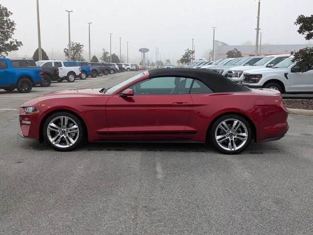 Certified 2019 Ford Mustang Premium w/ Pony Package image 2