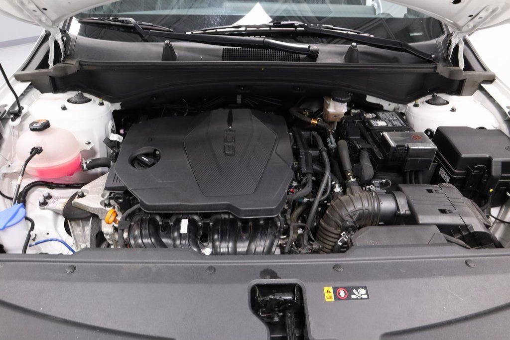 Used 2025 Kia Sportage X-Line image 15