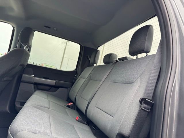 Certified 2025 Ford F150 XLT w/ Equipment Group 301A Standard image 16