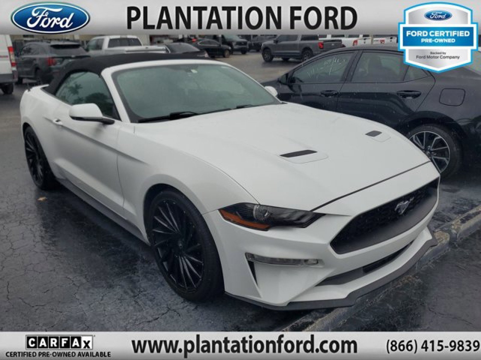 Certified 2019 Ford Mustang Premium image 5