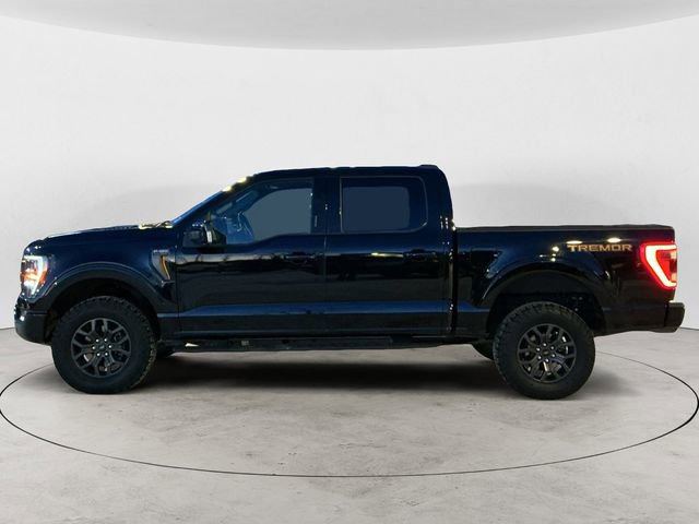 Certified 2023 Ford F150 Tremor w/ Equipment Group 402A High AWD/4WD image 2