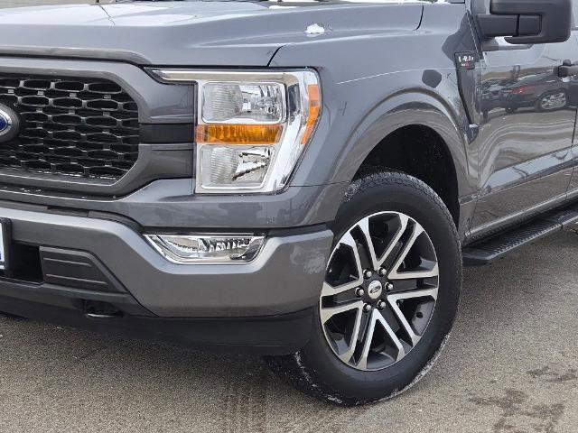 Certified 2022 Ford F150 XL w/ STX Appearance Package image 7