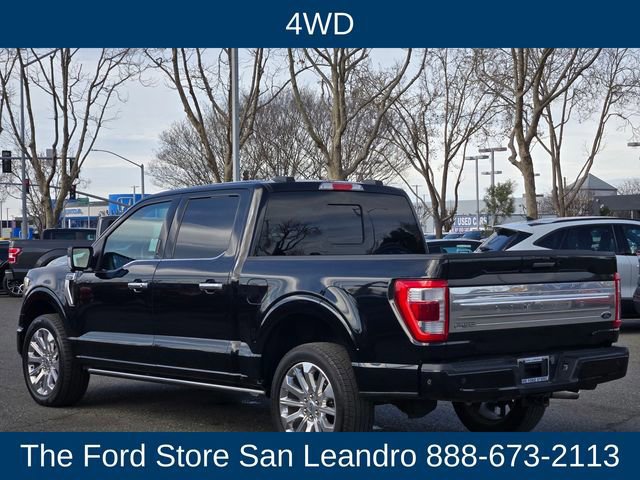 Certified 2023 Ford F150 Limited image 6