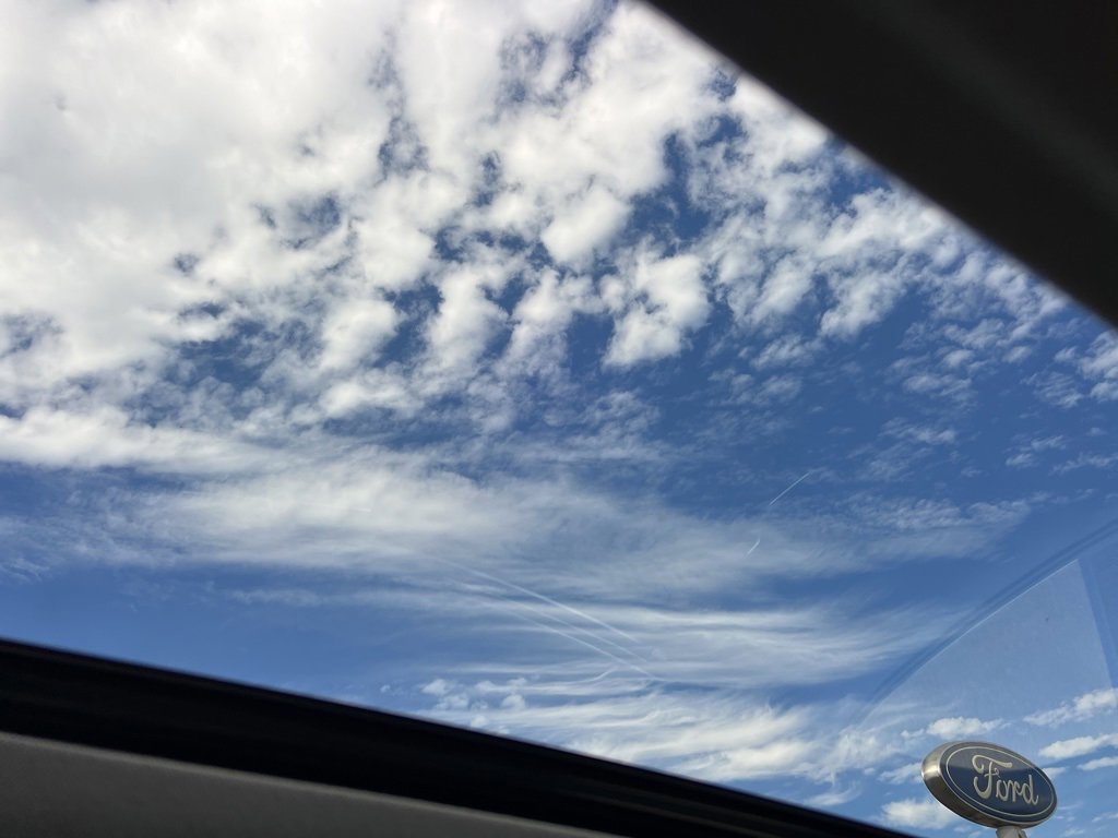 Used 2023 Hyundai Elantra Limited image 14