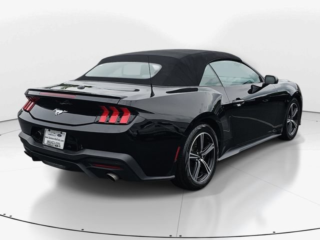Certified 2024 Ford Mustang Premium RWD image 4