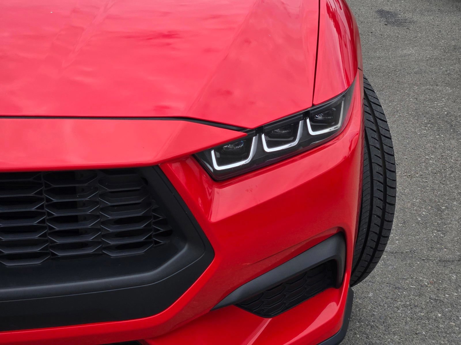Certified 2024 Ford Mustang Premium RWD image 11