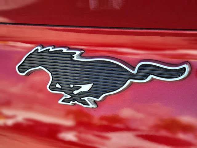 Certified 2021 Ford Mustang Mach-E Select w/ Comfort/Appearance Package image 5