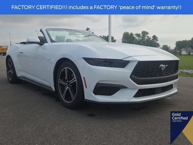 Certified 2025 Ford Mustang Premium RWD image 2
