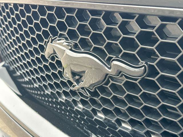 Certified 2022 Ford Mustang GT Premium w/ Equipment Group 401A RWD image 12