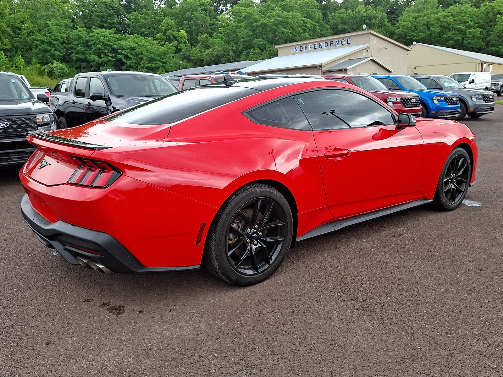 Certified 2024 Ford Mustang Premium RWD image 11