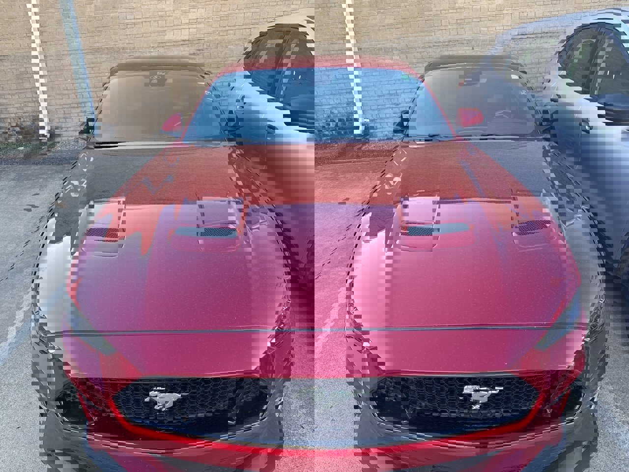 Certified 2022 Ford Mustang GT Premium w/ Ford Safe & Smart Package image 8