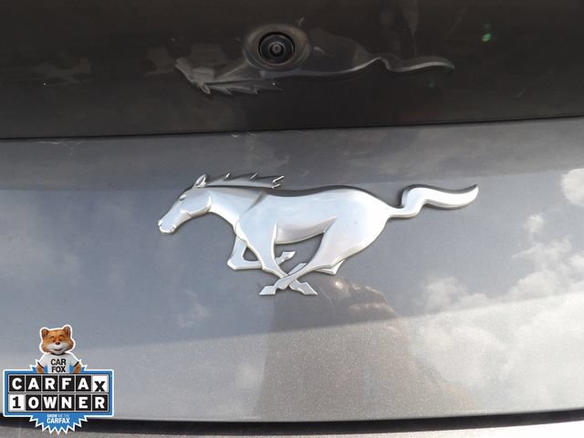Certified 2024 Ford Mustang Premium RWD image 19