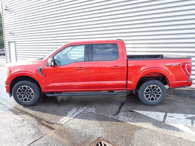 Certified 2023 Ford F150 XLT w/ Equipment Group 302A High AWD/4WD image 2
