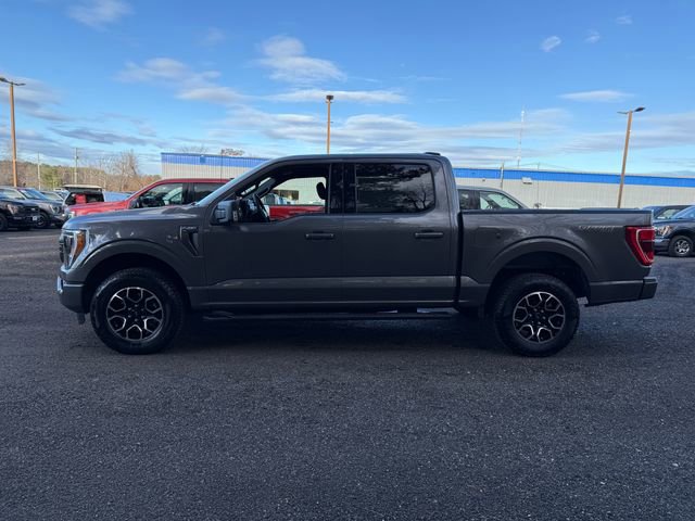 Certified 2023 Ford F150 XLT w/ Equipment Group 302A High image 11