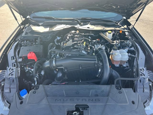 Certified 2024 Ford Mustang Premium RWD image 31
