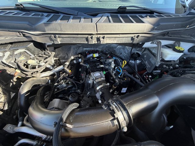 Certified 2021 Ford F150 XL w/ Equipment Group 101A High AWD/4WD image 22