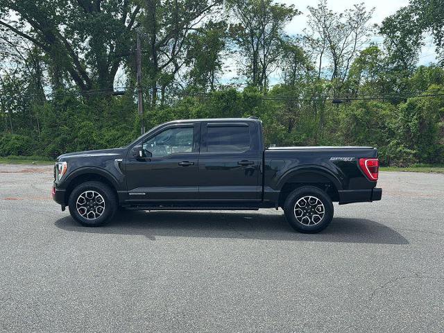 Certified 2023 Ford F150 XLT w/ Equipment Group 302A High image 2